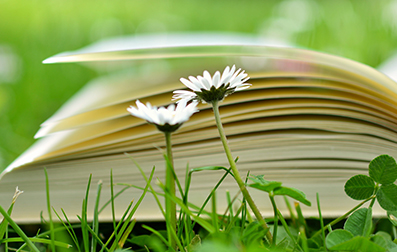 天津教师资格认定申请