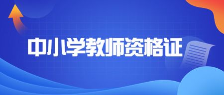 中小学教师资格考试网