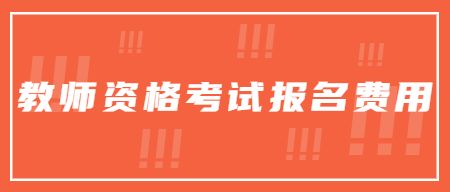 中小学教师资格考试网